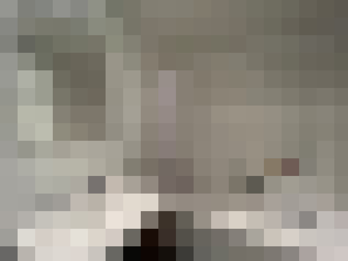  / #14