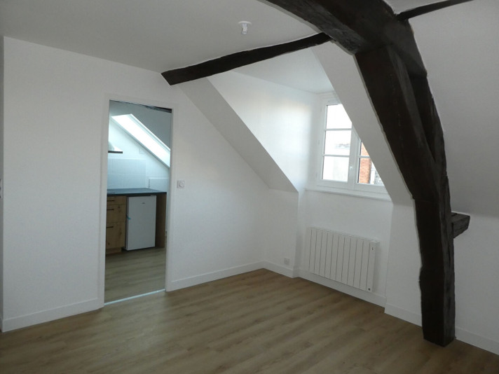 Voir la photo 1/11 du type apartment à Orléans