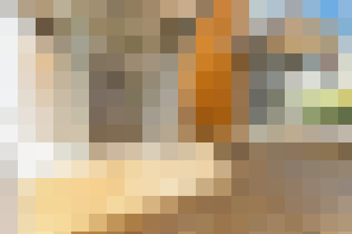  / #23