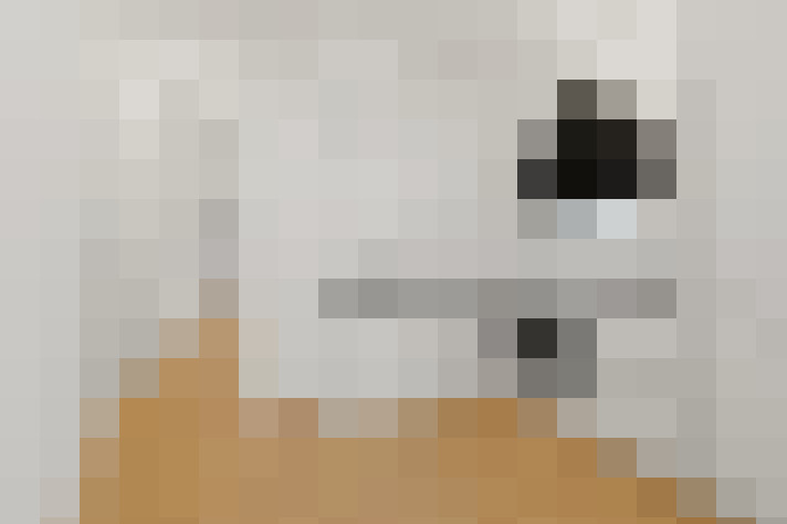  / #8