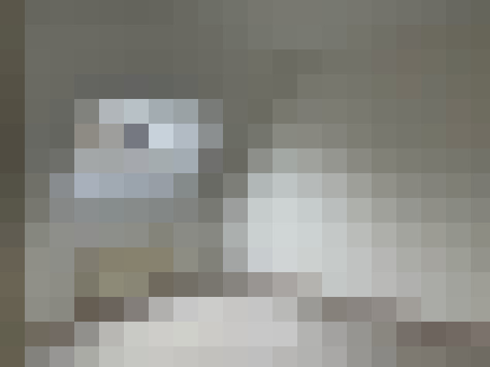  / #14