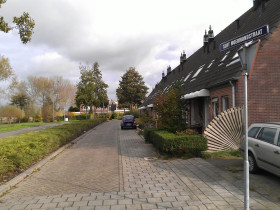 Dom — Schiedam