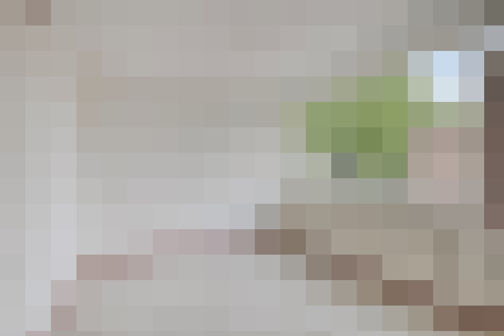  / #6