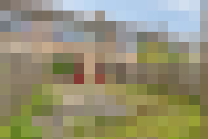  / #7