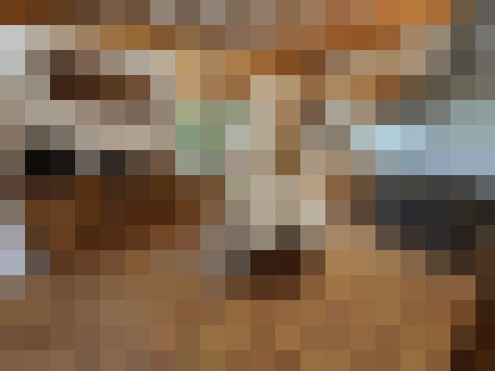  / #15