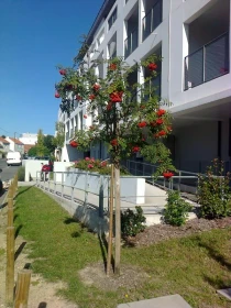 Appartement à Saint-Herblain