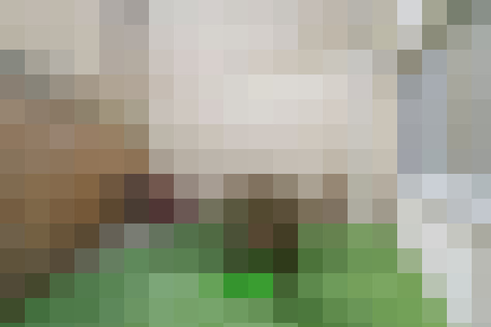  / #12