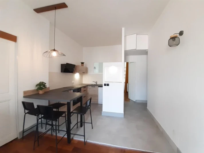 Voir la photo 1/8 du type apartment à Grenoble