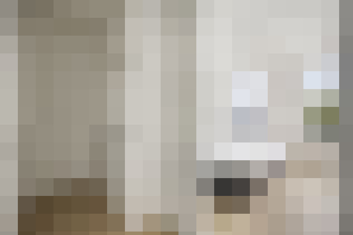  / #24