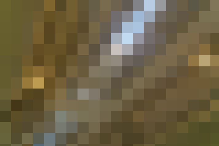  / #8