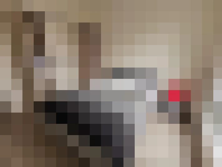  / #7