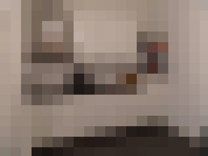 / #15