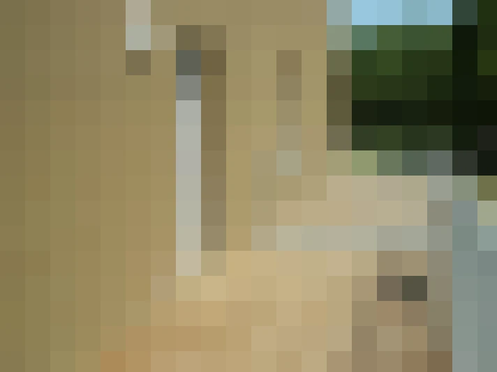  / #9