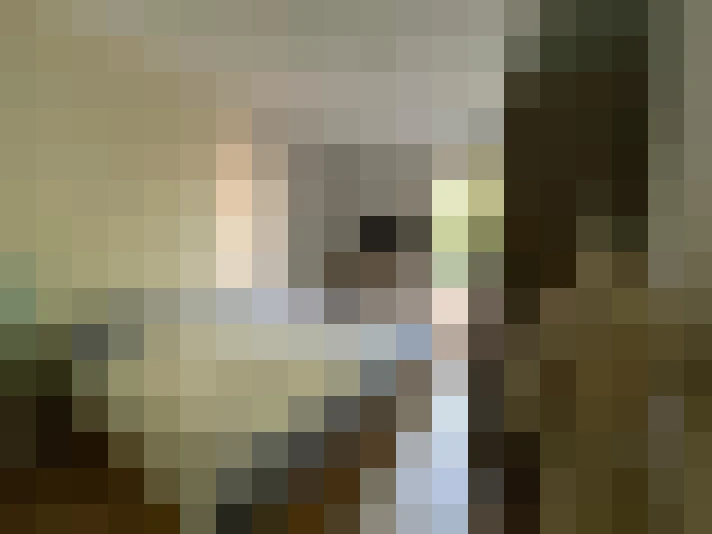  / #15