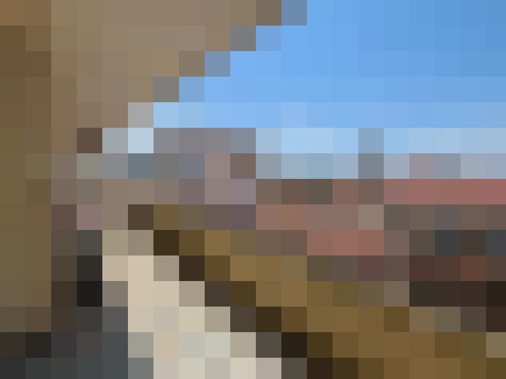  / #6