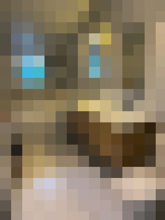  / #14
