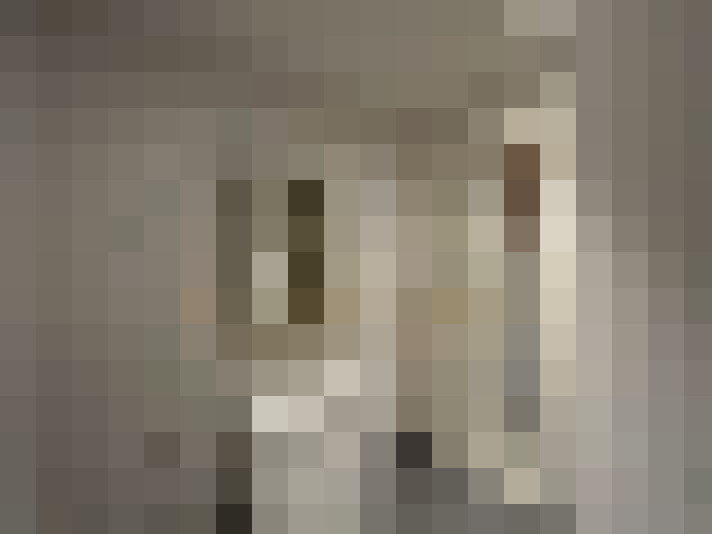  / #8