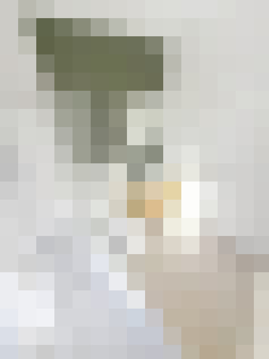  / #17