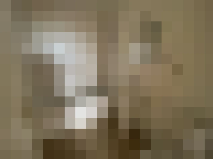  / #6