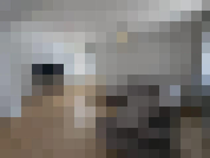  / #15