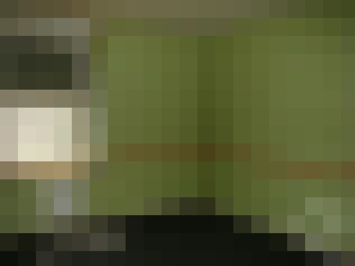  / #7