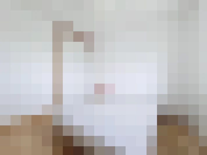  / #6