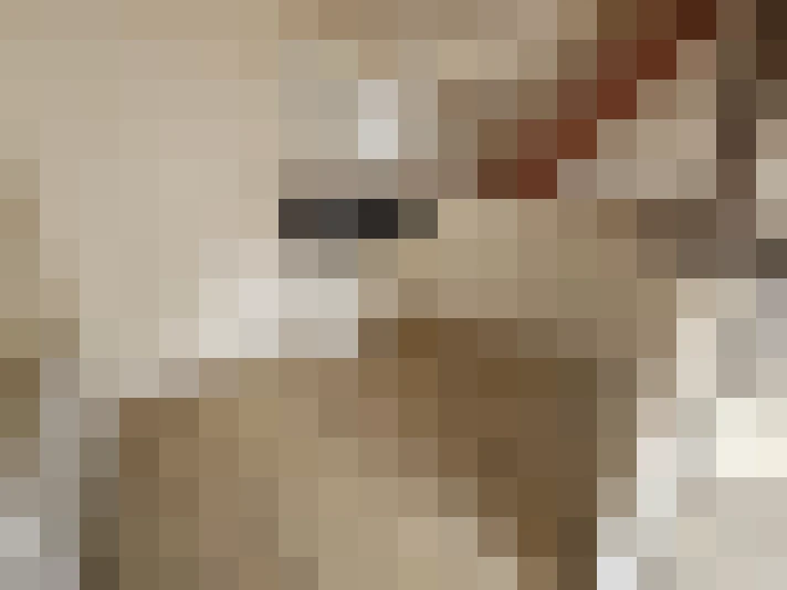  / #7