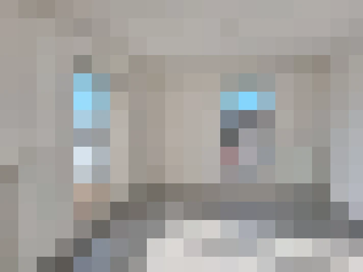  / #8