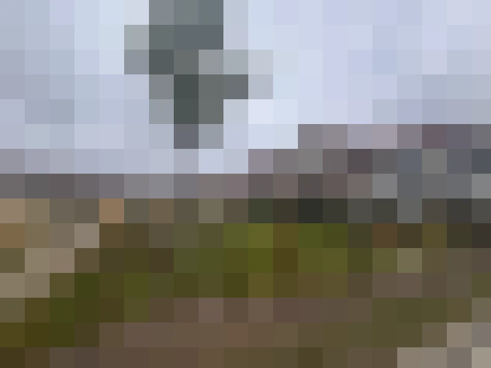  / #7