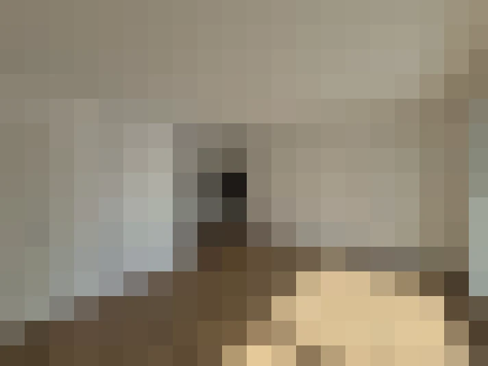  / #6