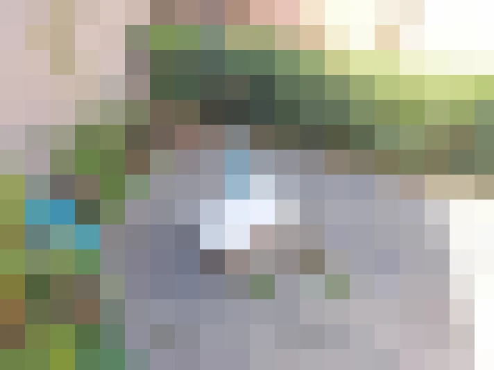 / #12