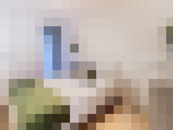  / #9