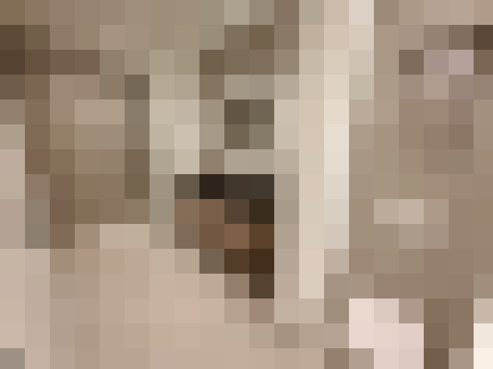  / #15