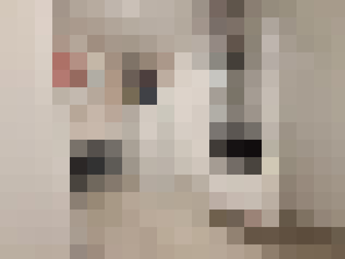  / #18