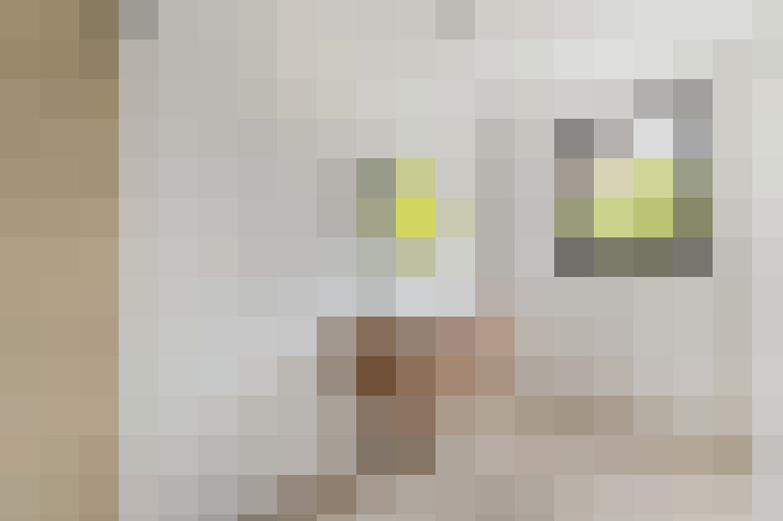  / #9