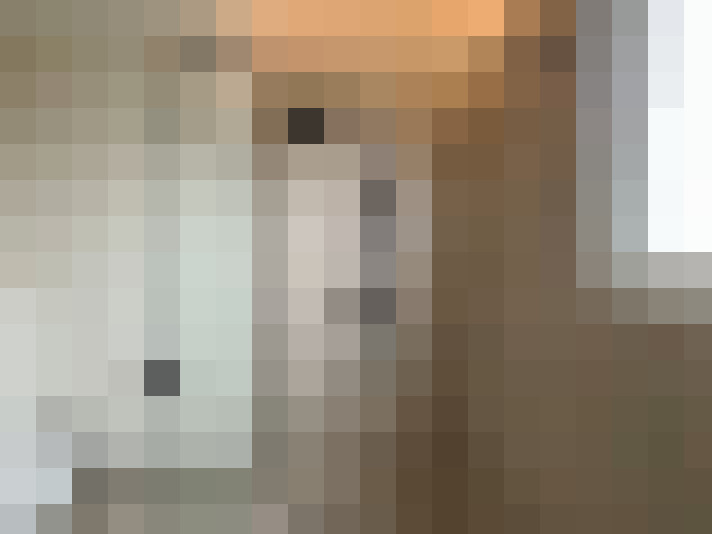  / #16