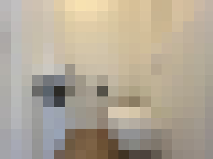  / #23