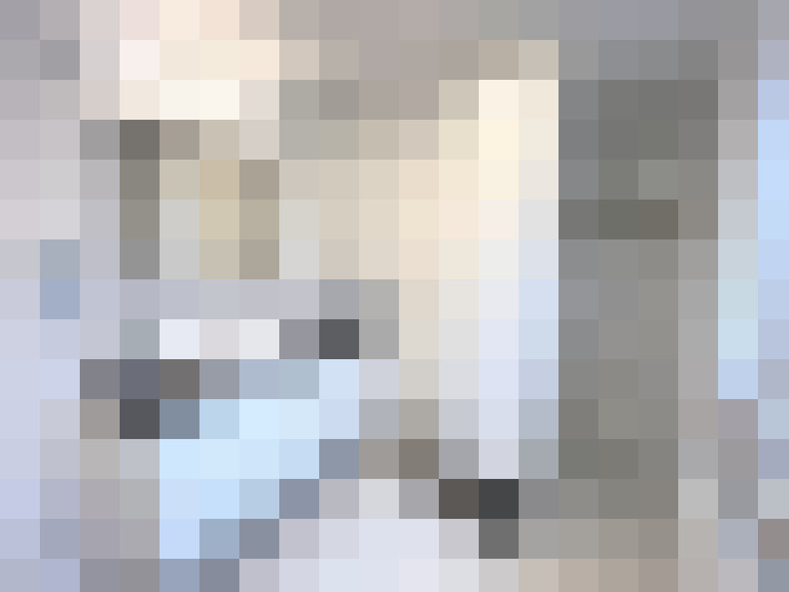  / #13