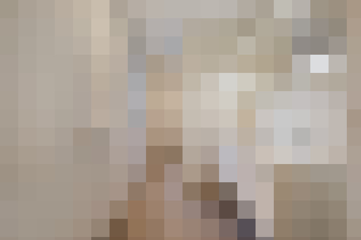  / #17