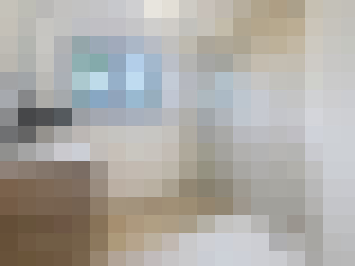 / #8