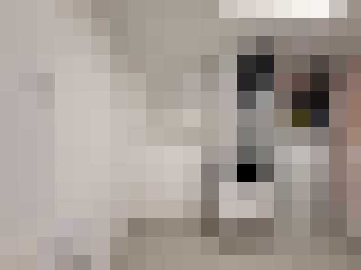  / #15