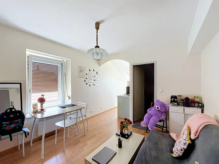 Voir la photo 1/5 du type apartment à Épinal