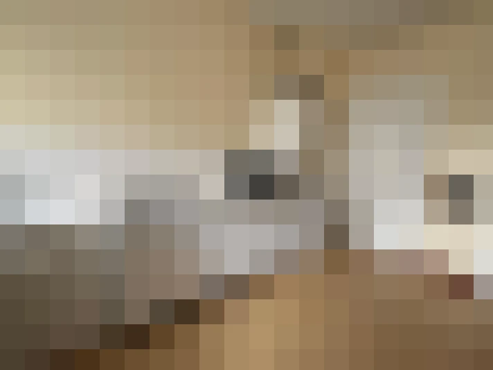  / #7