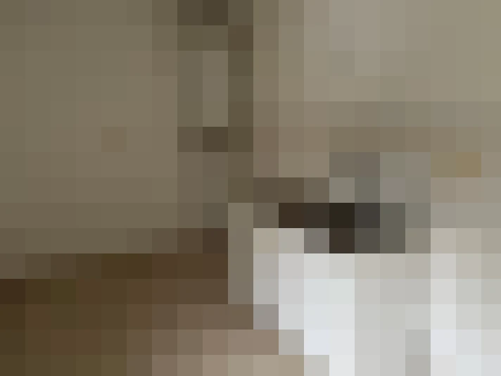  / #13
