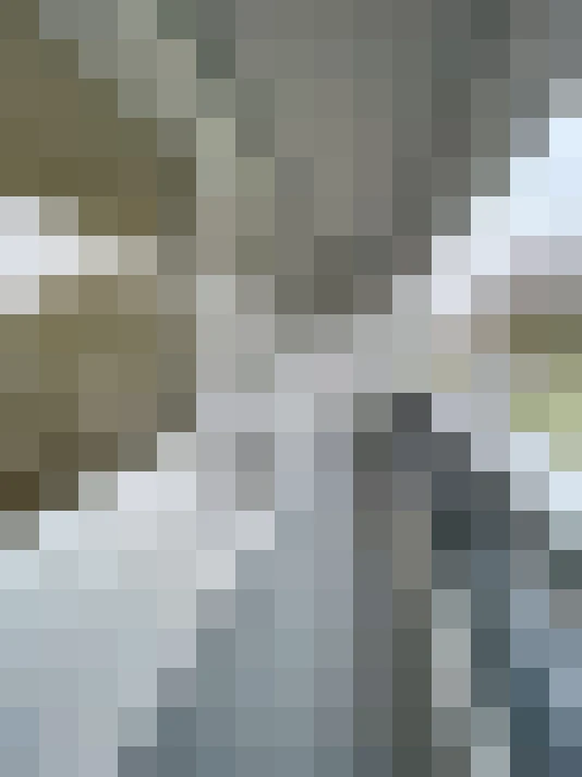  / #14