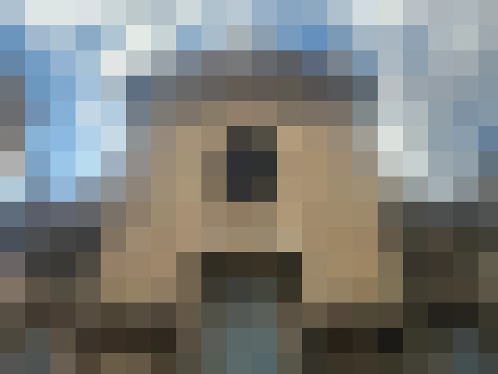  / #7