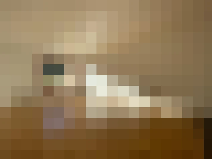  / #8