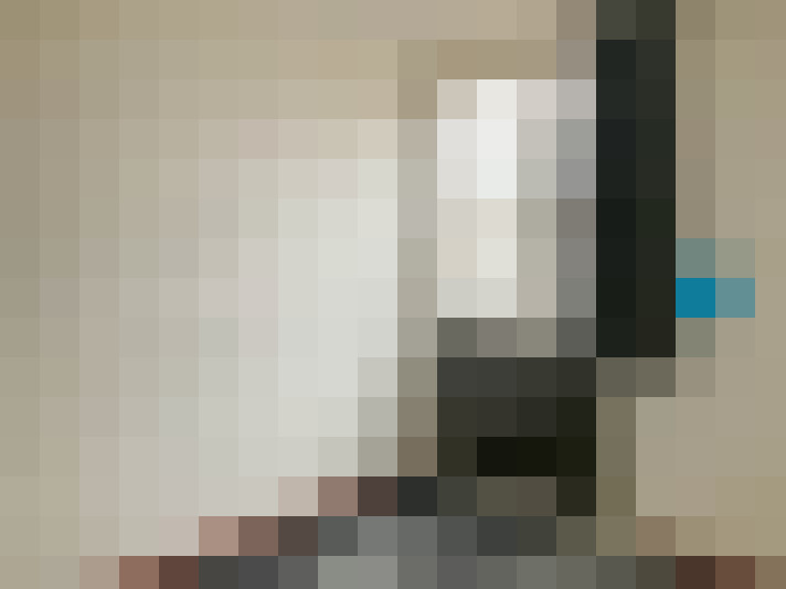  / #16