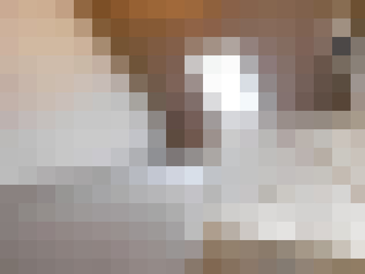  / #19