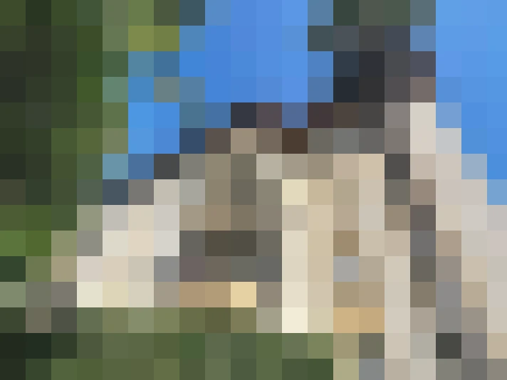  / #11